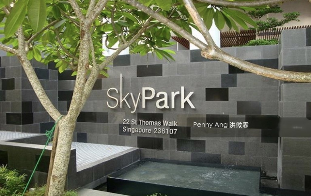 Skypark @ Somerset (D9), Apartment #219370101